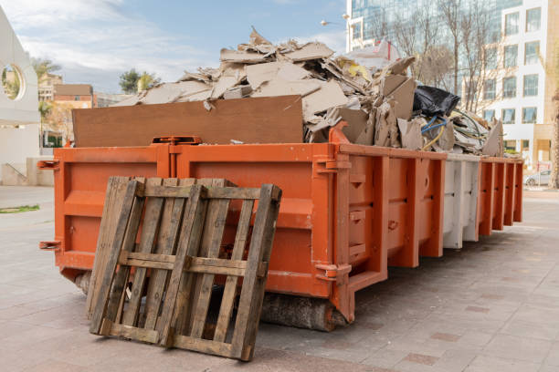 Best Attic Cleanout Services  in Ramona, CA
