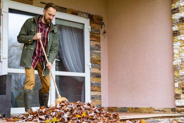 Best Basement Cleanout Services  in Ramona, CA